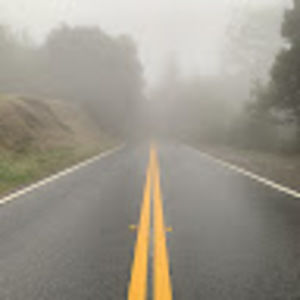 Meet your Posher, Dominic